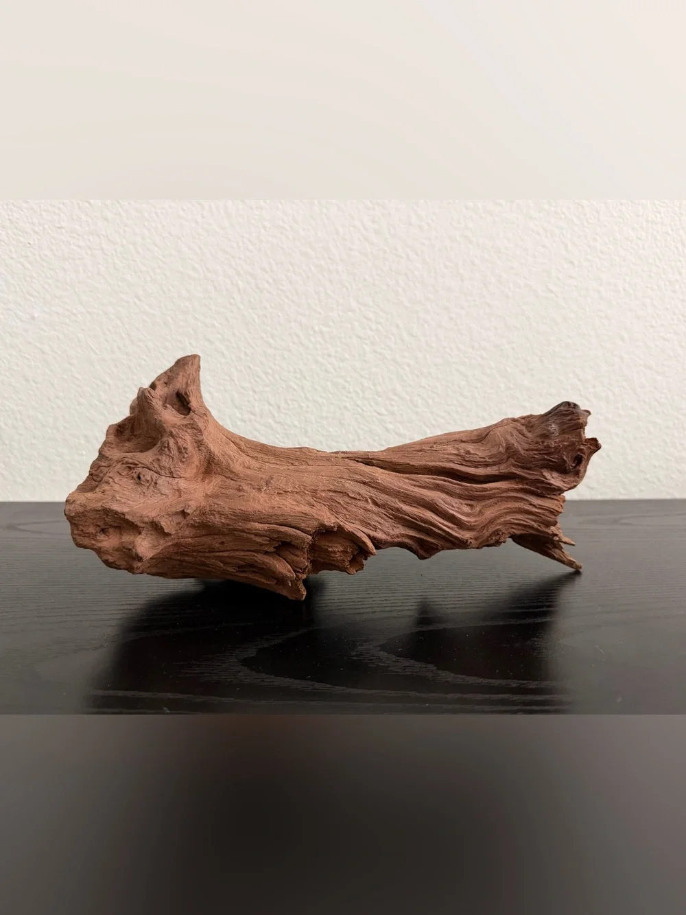 Natural Driftwood Decorative Accent - fish tank or reptiles decoration